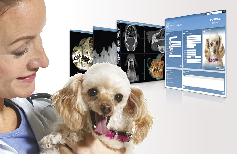 Veterinary software Planmeca Veterinary